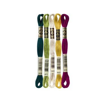 DMC Stranded Cotton Mouliné Spécial Embroidery Thread Colour Pack (Madeira)