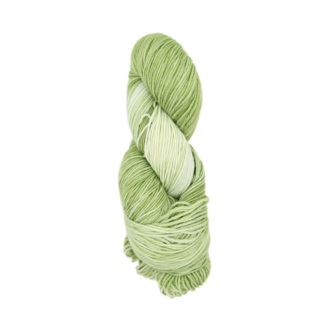 Roya Merino DK Yarn (Moss 01)