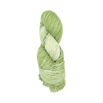 Roya Merino DK Yarn (Moss 01)