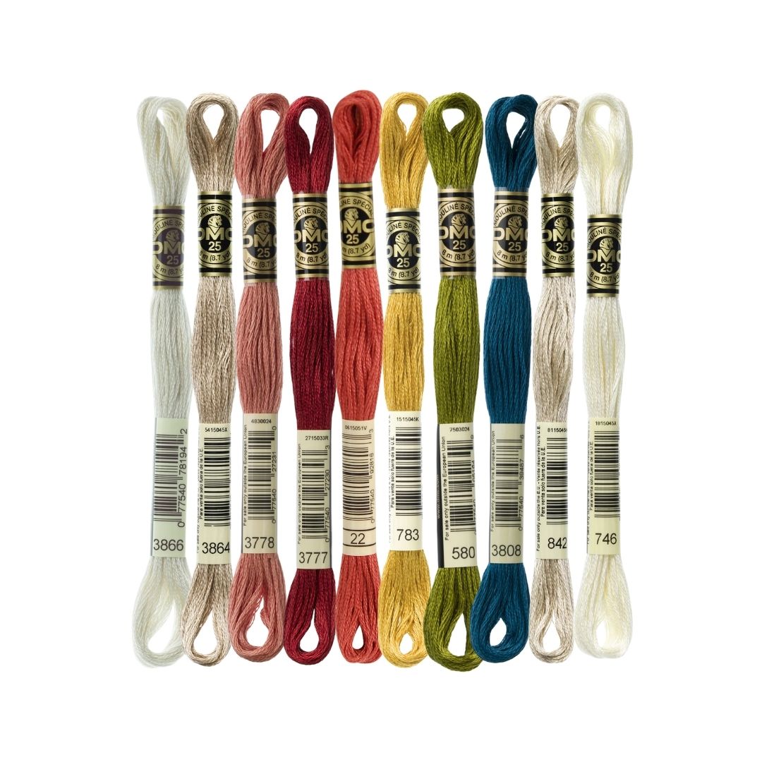 DMC Stranded Cotton Mouliné Spécial Embroidery Thread Colour Pack (Mushroom Medley)