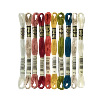 DMC Stranded Cotton Mouliné Spécial Embroidery Thread Colour Pack (Mushroom Medley)