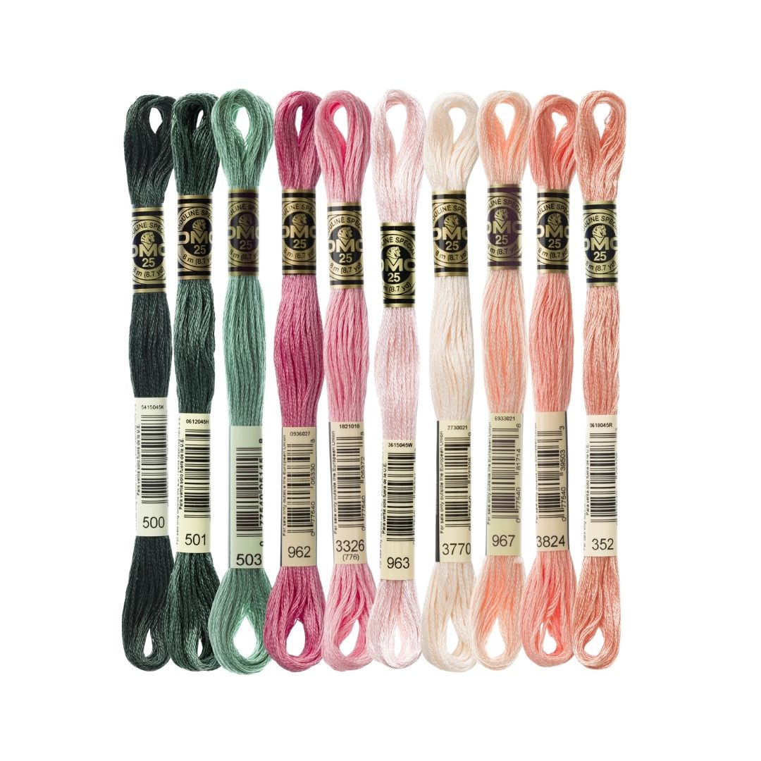 DMC Stranded Cotton Mouliné Spécial Embroidery Thread Colour Pack (Peachy)