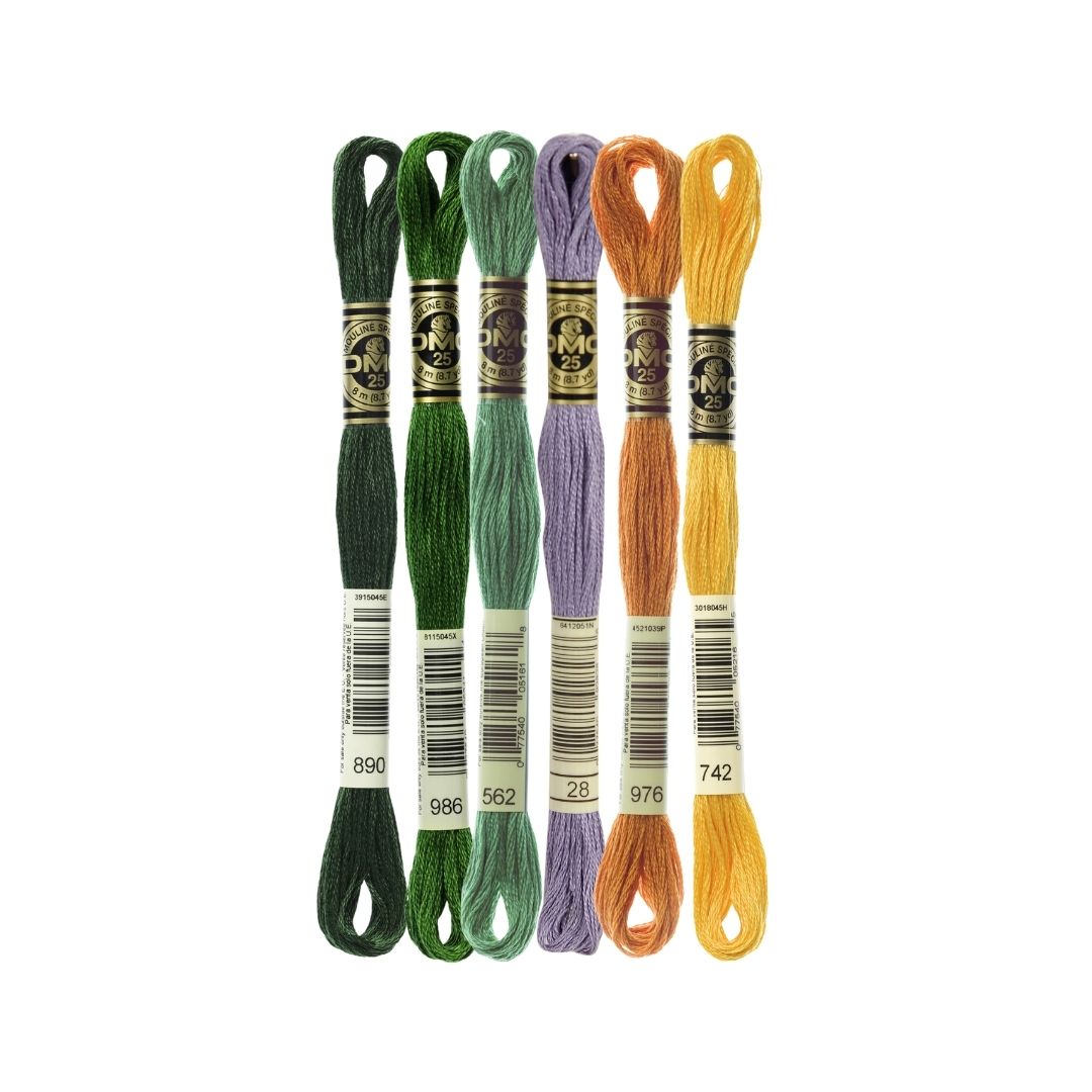 DMC Stranded Cotton Mouliné Spécial Embroidery Thread Colour Pack (Robin of Berries)
