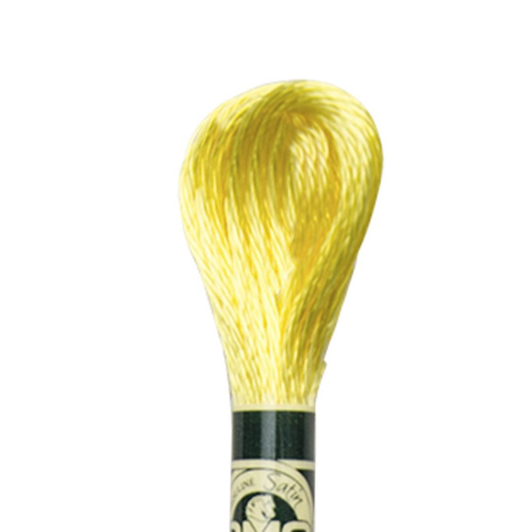 DMC Mouliné Satin Embroidery Thread (S307)