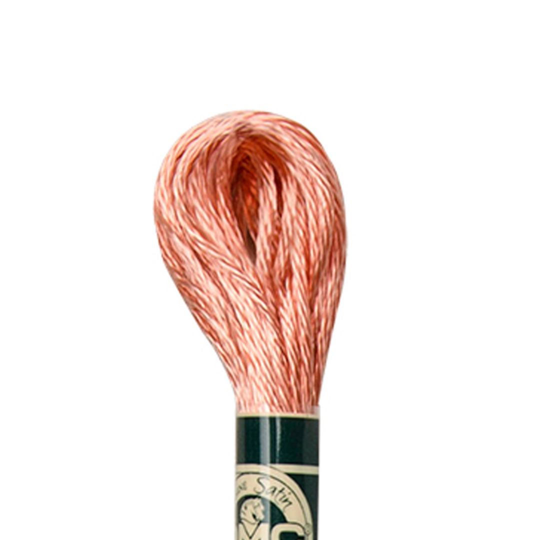 DMC Mouliné Satin Embroidery Thread (S352)