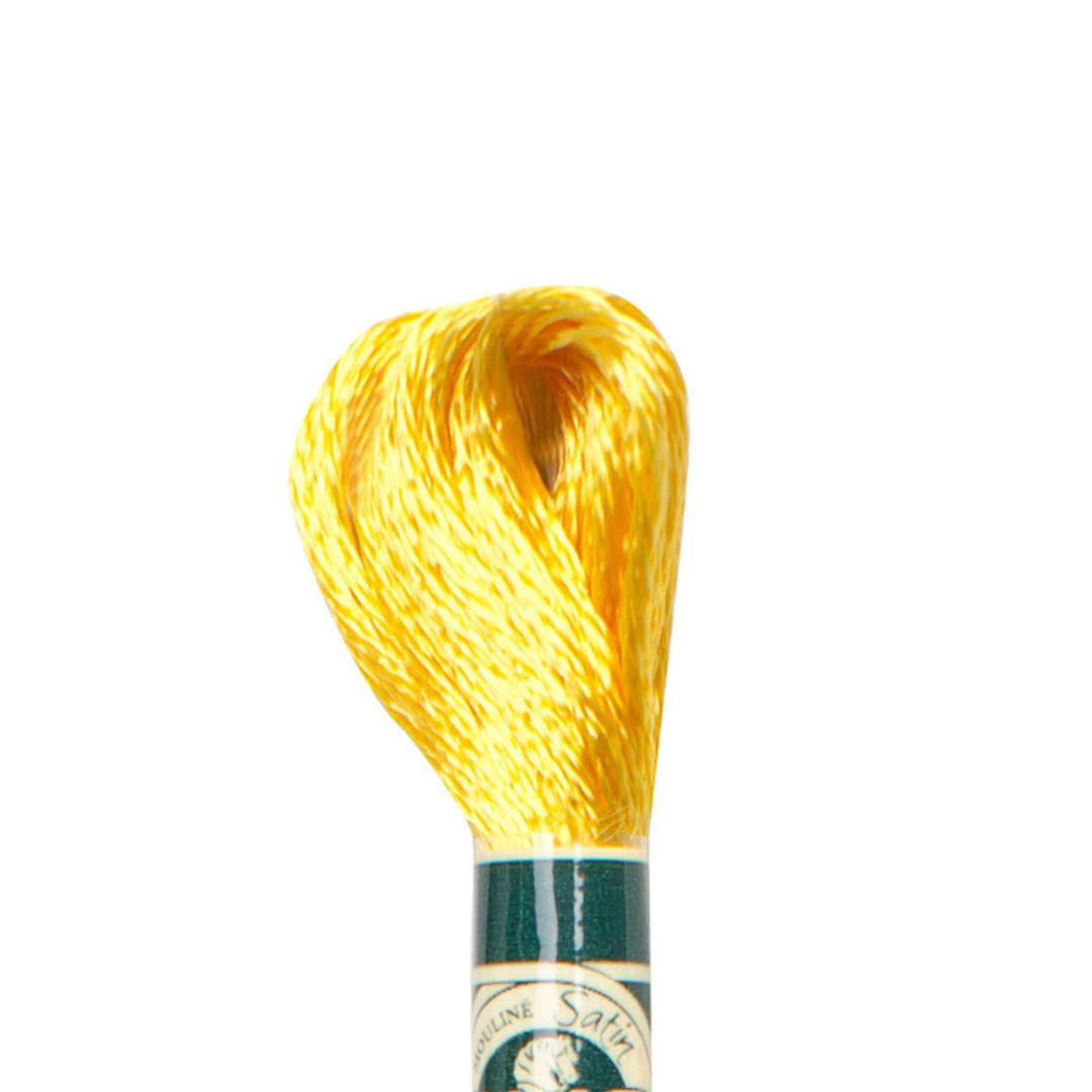 DMC Mouliné Satin Embroidery Thread (S3820)