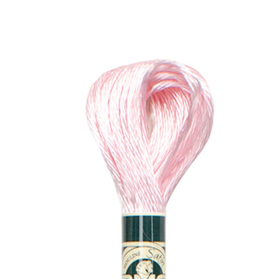 DMC Mouliné Satin Embroidery Thread (S818)