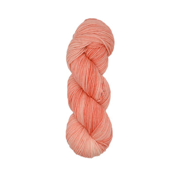 Roya Merino DK Yarn (Salmon 01)