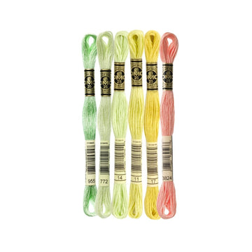 DMC Stranded Cotton Mouliné Spécial Embroidery Thread Colour Pack (Soft Yellows)