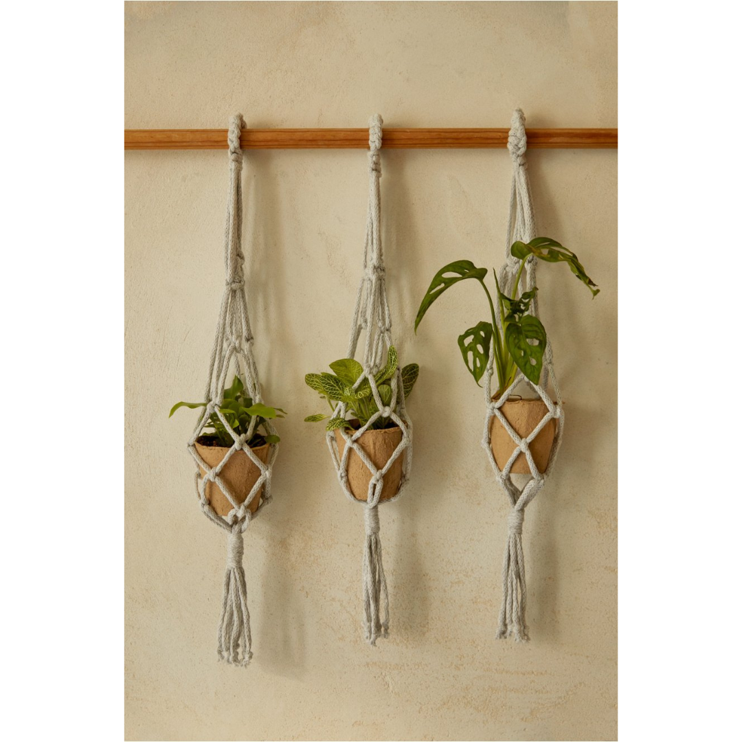 Copy of DMC Macramé Kit - Mindful Making (The Exhale Plant Hanger)