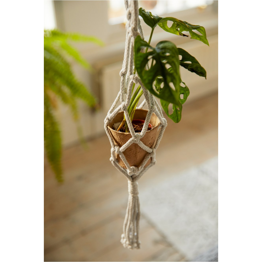 Copy of DMC Macramé Kit - Mindful Making (The Exhale Plant Hanger)