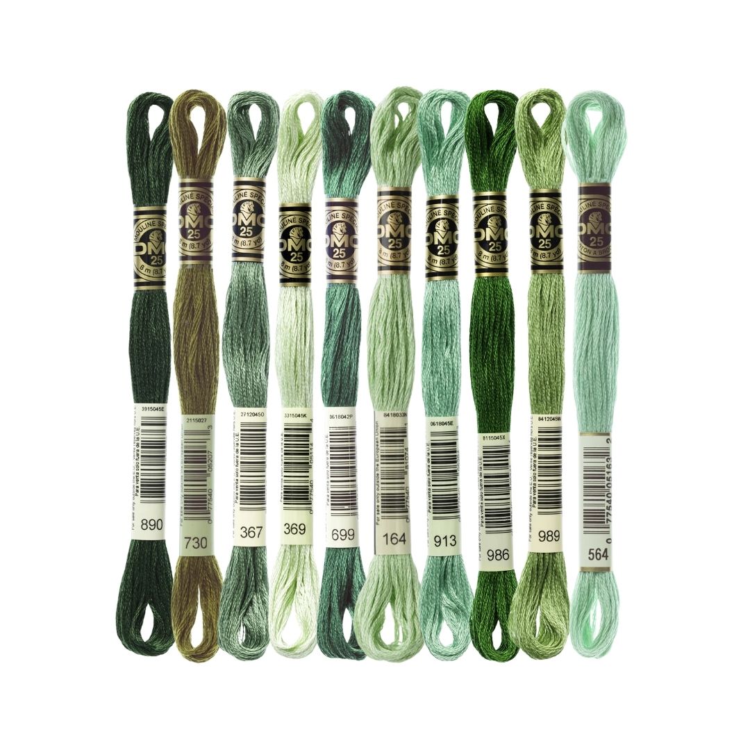 DMC Stranded Cotton Mouliné Spécial Embroidery Thread Colour Pack (The Popular Green Shades)