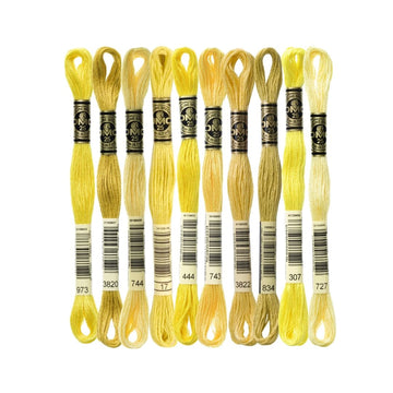 DMC Stranded Cotton Mouliné Spécial Embroidery Thread Colour Pack (The Popular Yellow Shades)