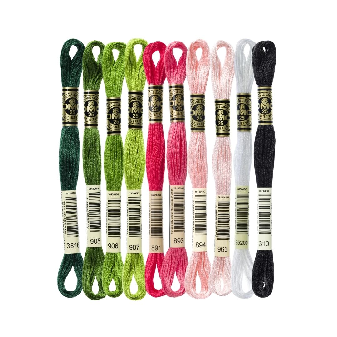 DMC Stranded Cotton Mouliné Spécial Embroidery Thread Colour Pack (Watermelon)