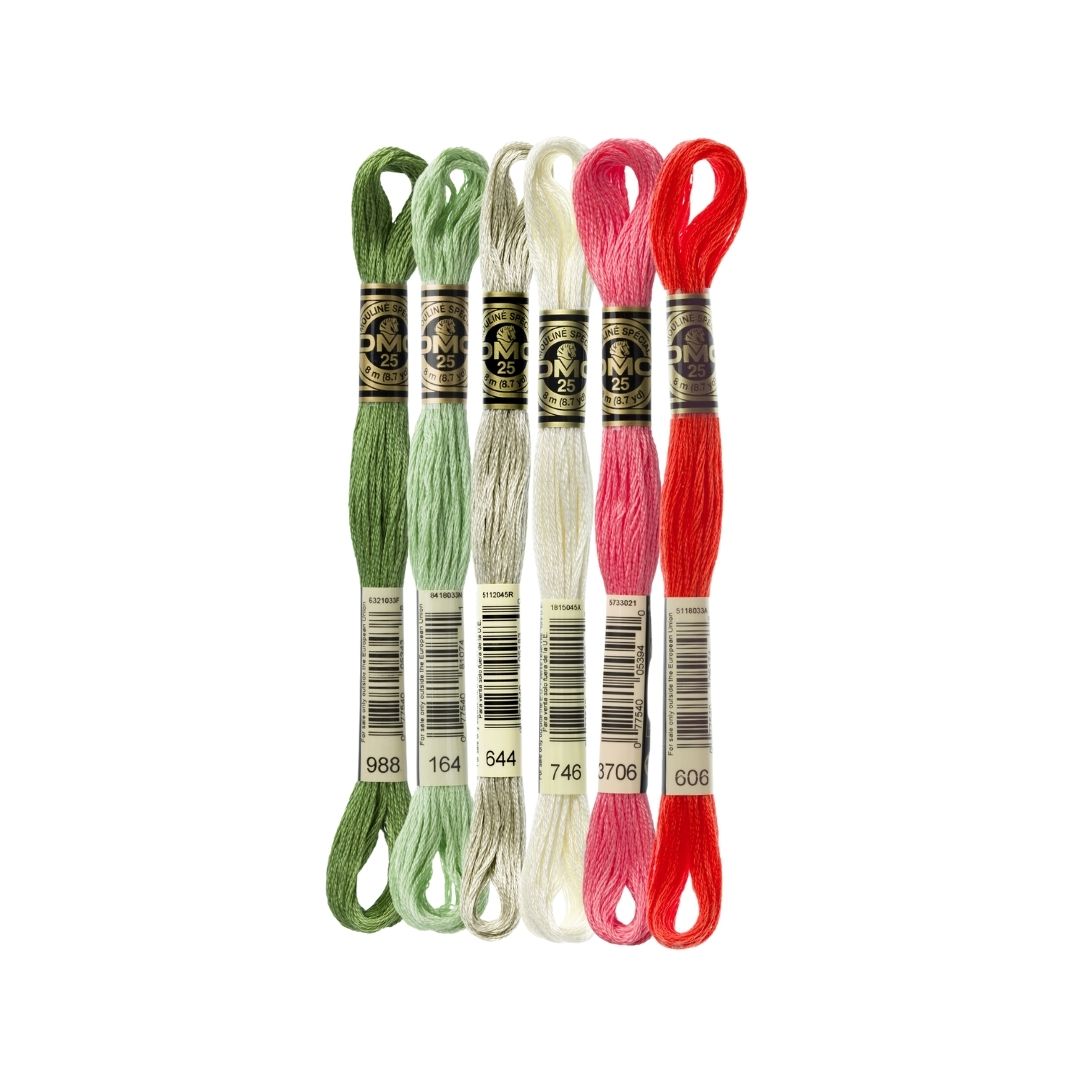 DMC Stranded Cotton Mouliné Spécial Embroidery Thread Colour Pack (Watermelon Smile)