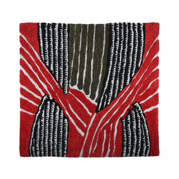 Woven, Not Illustrated by Asad Azizi