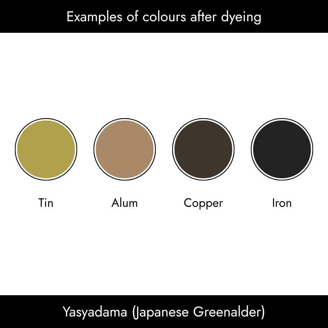 Aikuma Natural Dyes (Yasyadama)