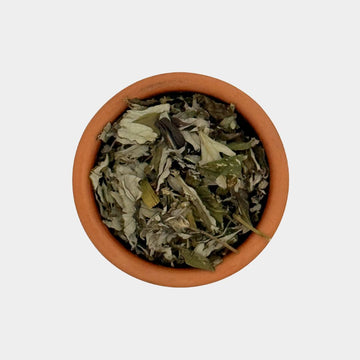 Aikuma Natural Dyes (Yomogi)