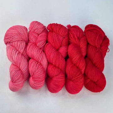 Roya Merino DK Yarn (Flamingo)