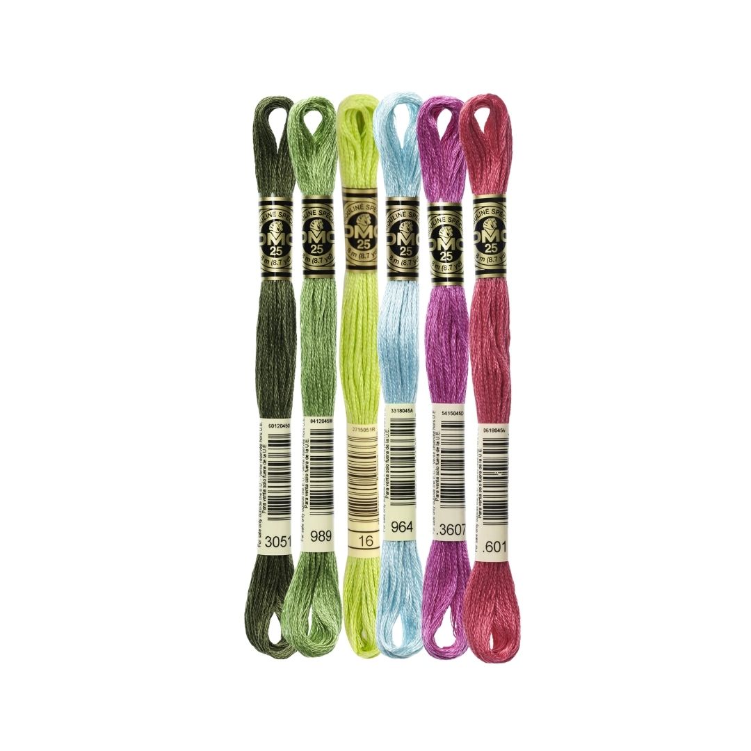 DMC Stranded Cotton Mouliné Spécial Embroidery Thread Colour Pack (Macro Miracle)