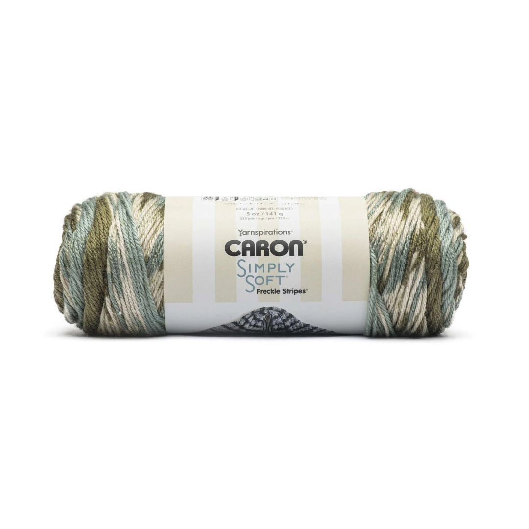 Caron Simply Soft Freckle Stripes Yarn (Moss)