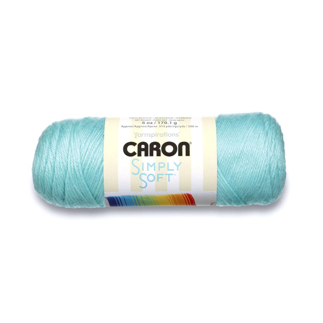 Caron Simply Soft Yarn (Robin's Egg)