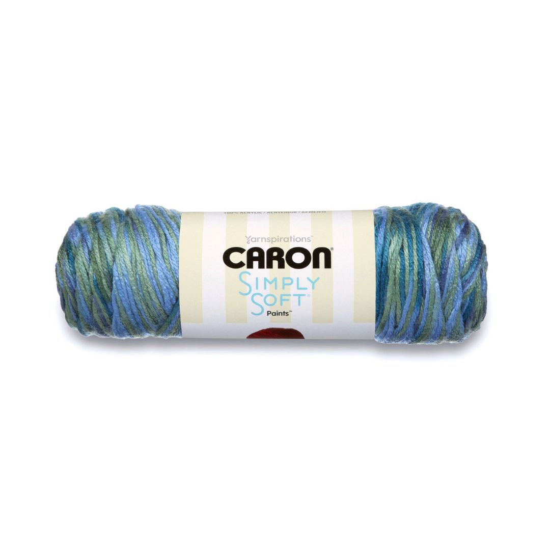 Caron Simply Soft Paints Yarn (Spring Brooks)