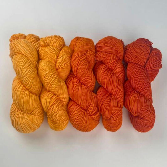 Roya Merino DK Yarn (Sunset)