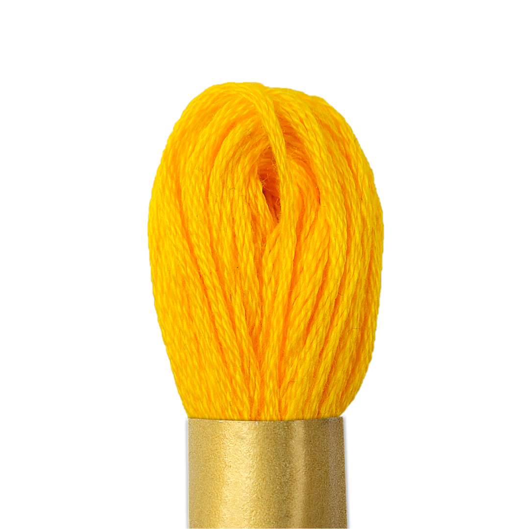 Circulo Maxi Mouline Thread (The Yellow Shades) (136)