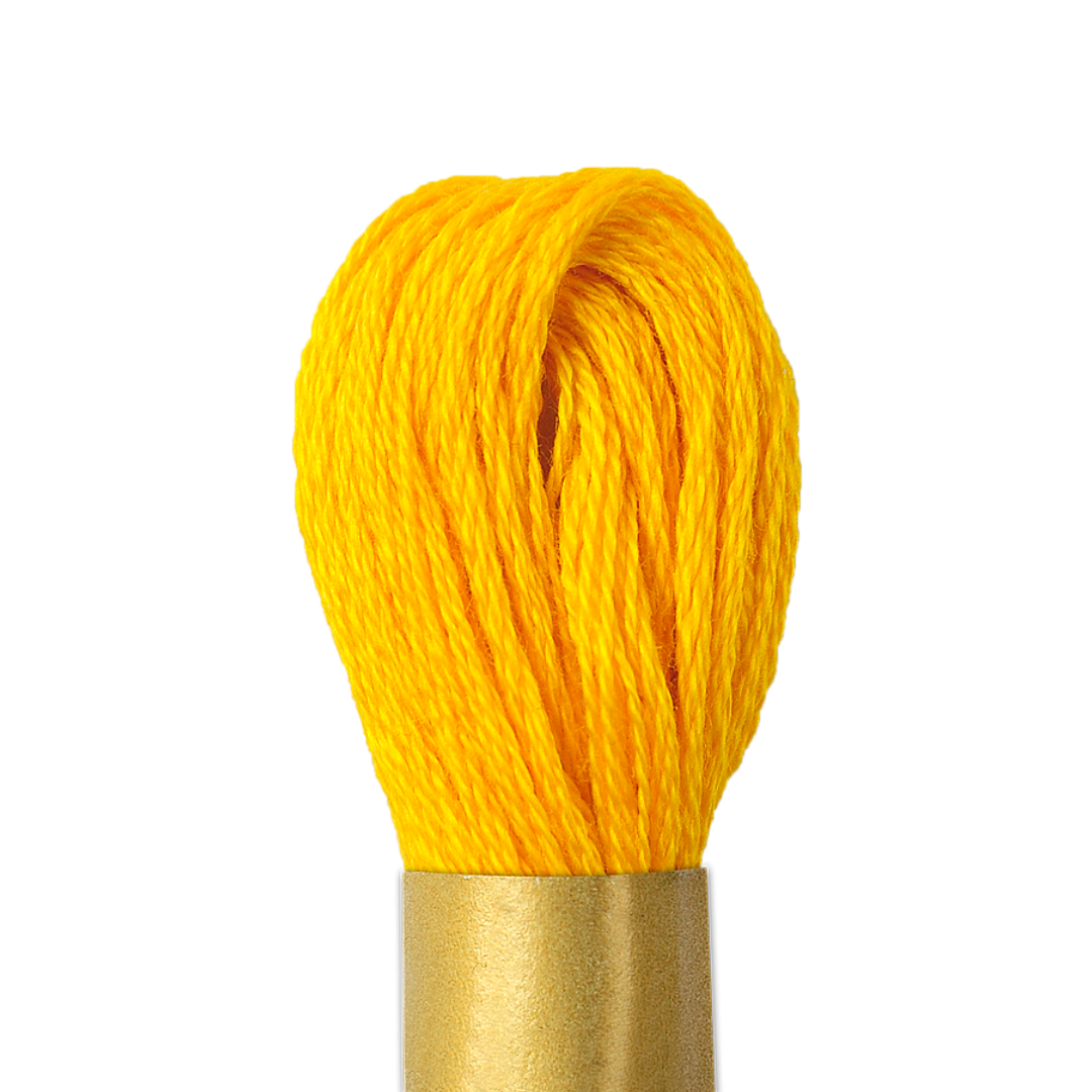 Circulo Maxi Mouline Thread (The Yellow Shades) (138)