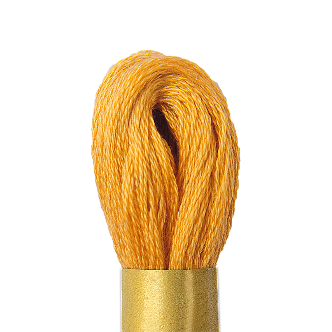 Circulo Maxi Mouline Thread (The Yellow Shades) (152)
