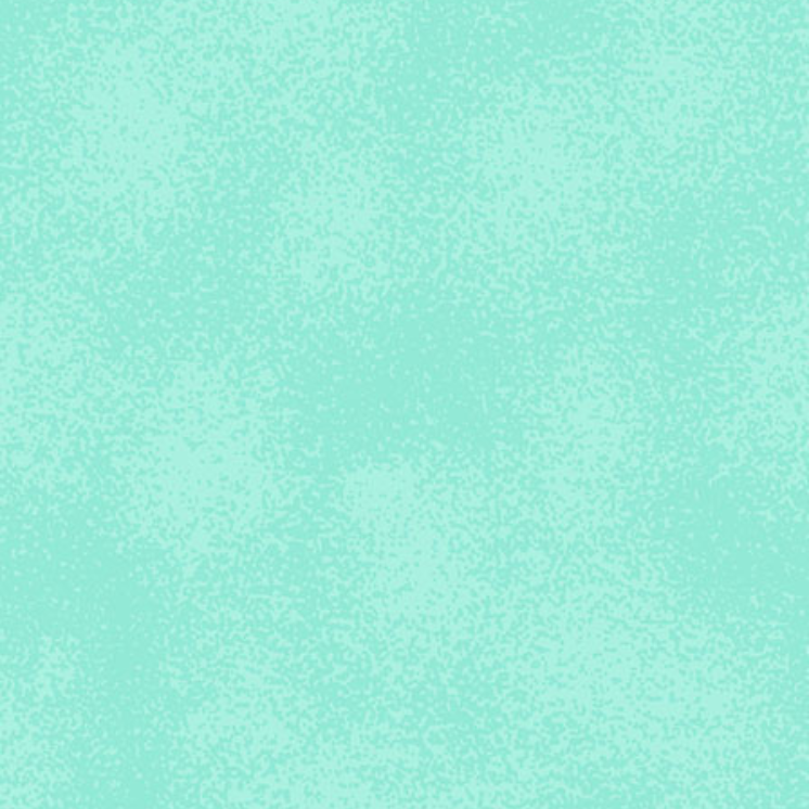 Circulo Quilting Fabric (Poeirinhas)