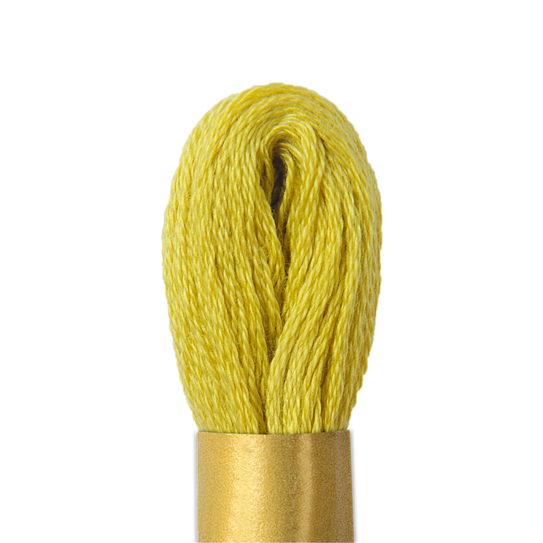 Circulo Maxi Mouline Thread (The Green Shades) (829)