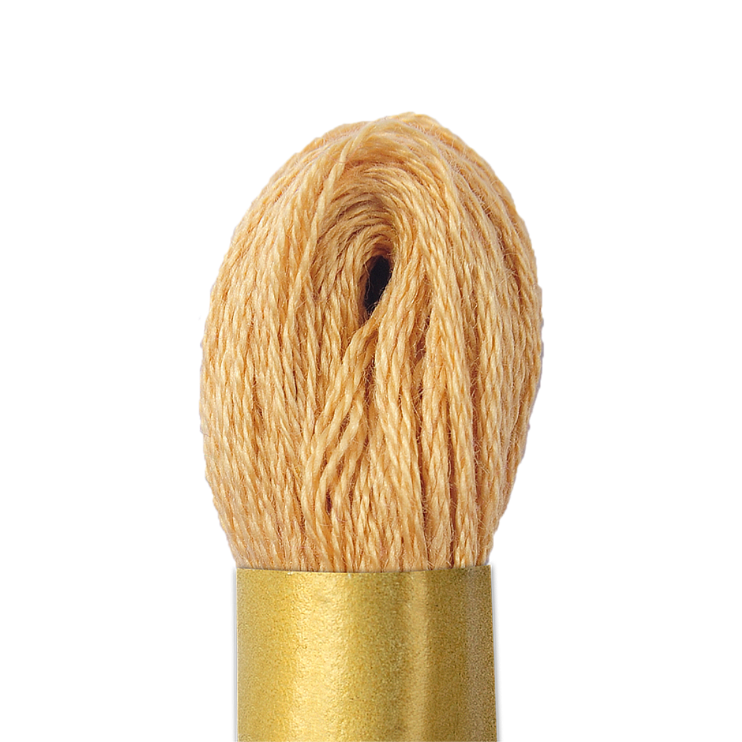 Circulo Maxi Mouline Thread (The Green Shades) (834)