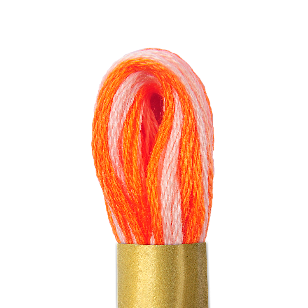 Circulo Maxi Mouline Thread (The Multicoloured Shades) (960)