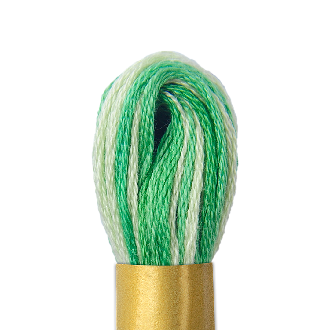 Circulo Maxi Mouline Thread (The Multicoloured Shades) (990)