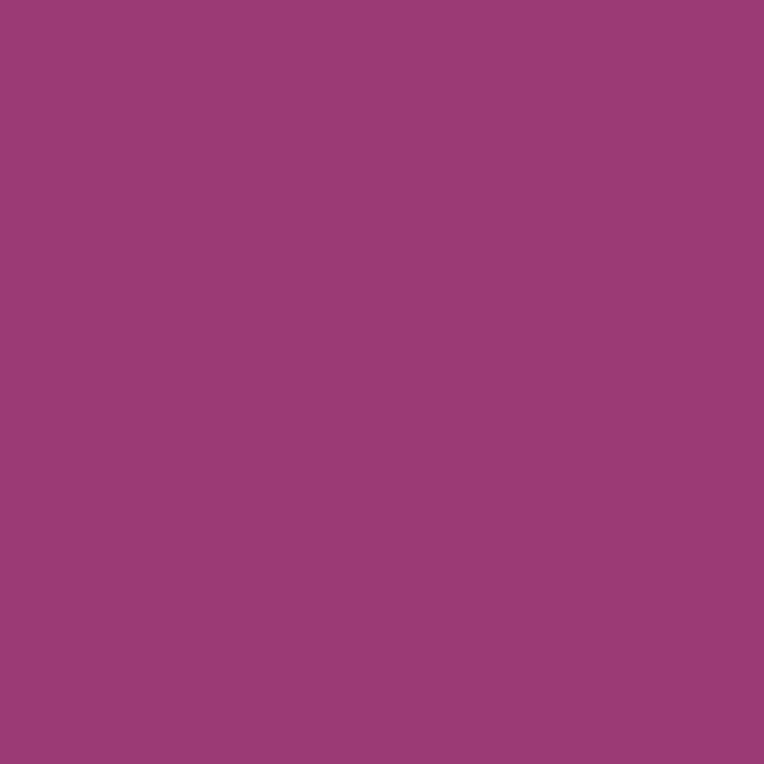 Dharma Acid Dyes - Amethyst (425)