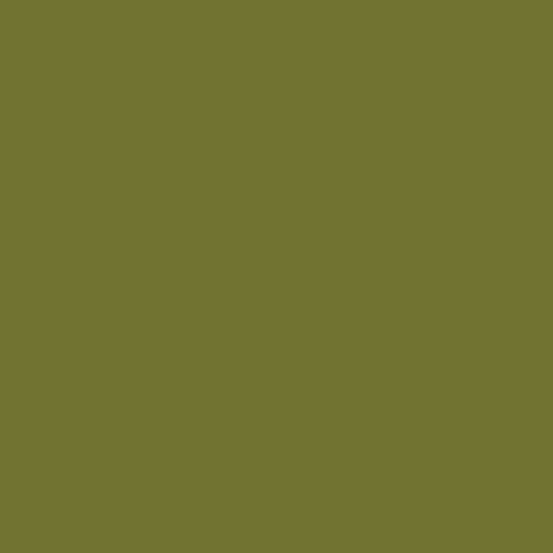 Dharma Acid Dyes - Avocado (461)