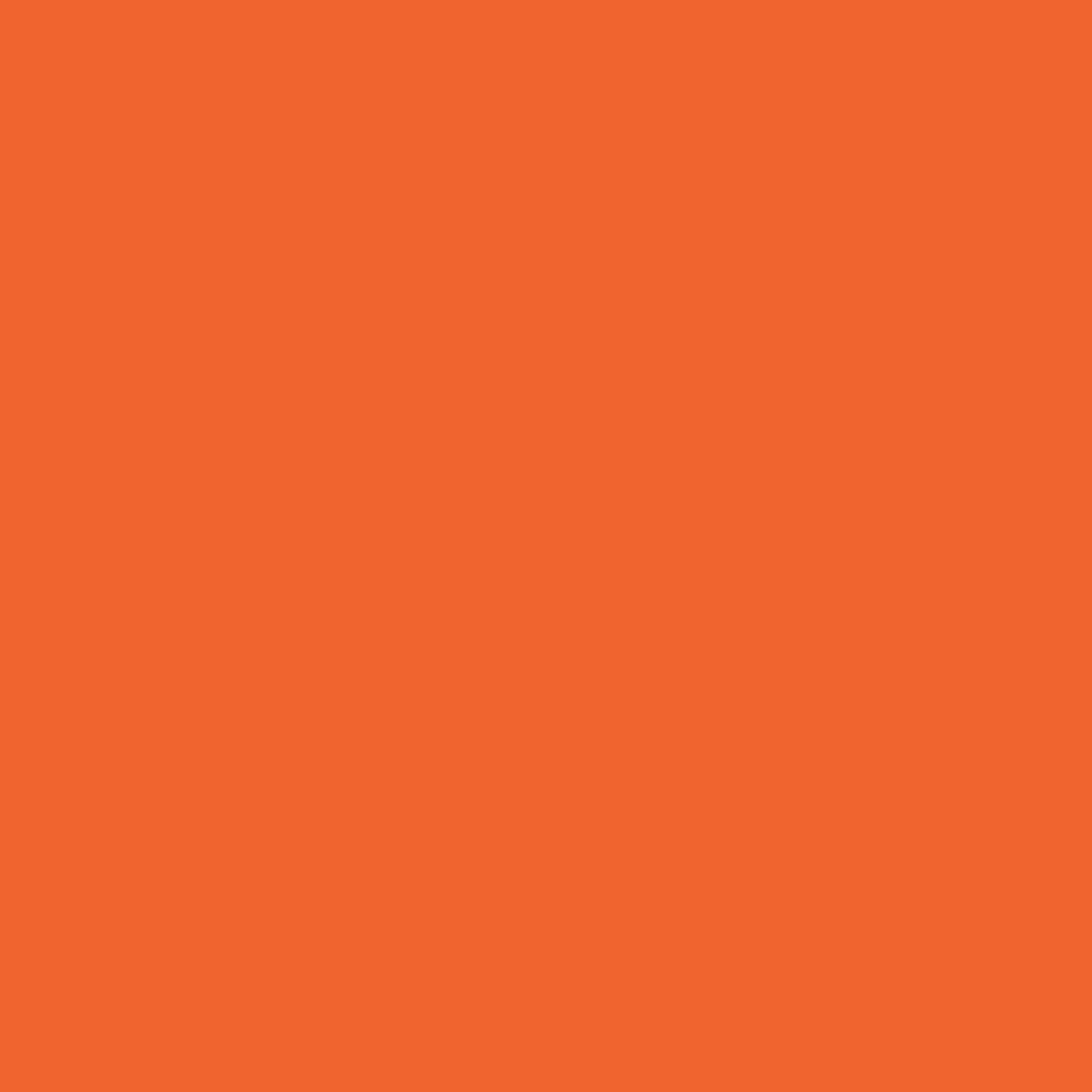 Dharma Acid Dyes - Blazing Orange (423)