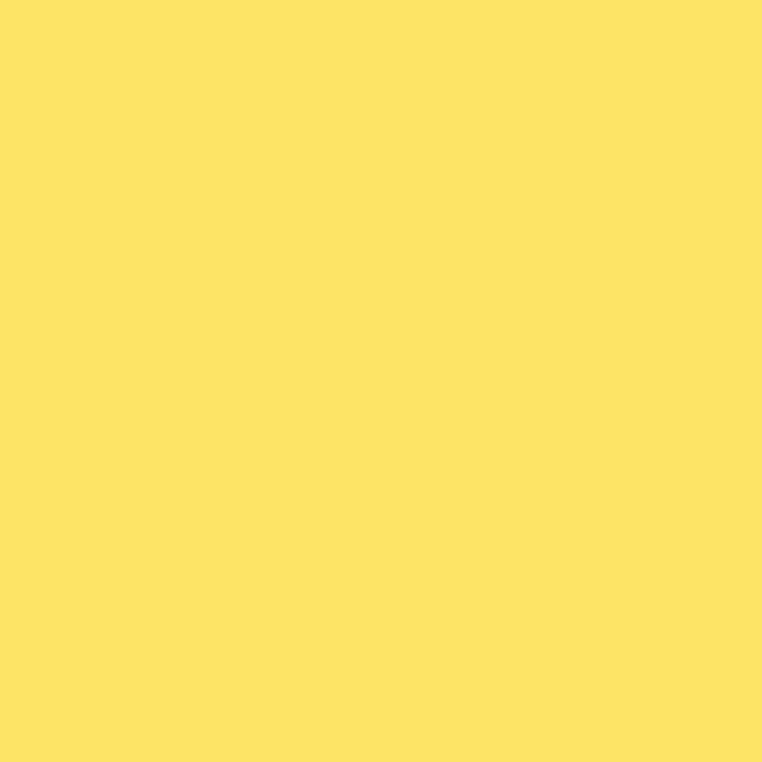 Dharma Acid Dyes - Duckling (463)
