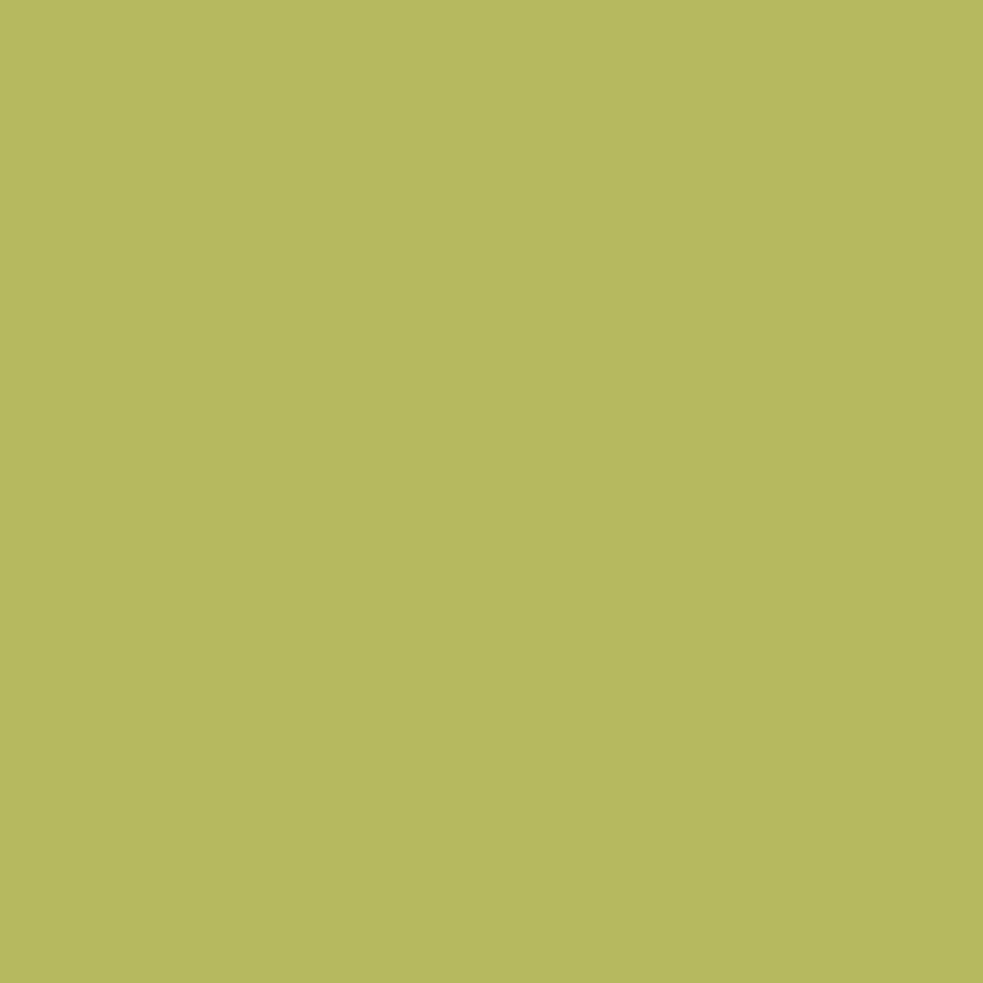Dharma Acid Dyes - Lichen (465)
